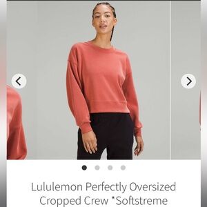 Perfectly Oversized Cropped Crew - 8